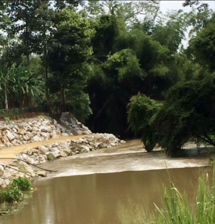 ขายด่วน ที่ดินริมน้ำ ลำตะคอง ทำเลทอง (เขาปากช่อง-เขาใหญ่), ภาพที่ 4