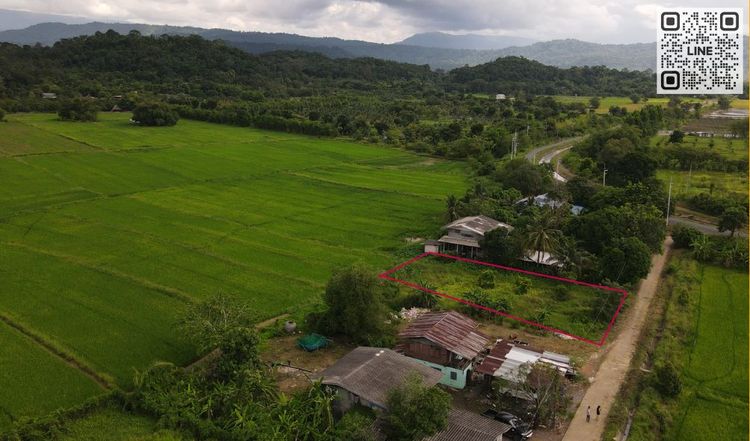 ขายที่ดิน 229 ตร.ว. มีโฉนด ต.ศรีนาวา ด้านหลังวิวเขากระเหรียง ขาย 1.15, ภาพที่ 4