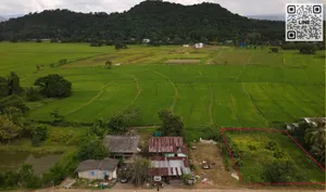 ขายที่ดิน 229 ตร.ว. มีโฉนด ต.ศรีนาวา ด้านหลังวิวเขากระเหรียง ขาย 1.15 ล้านบาทพร้อมโอน