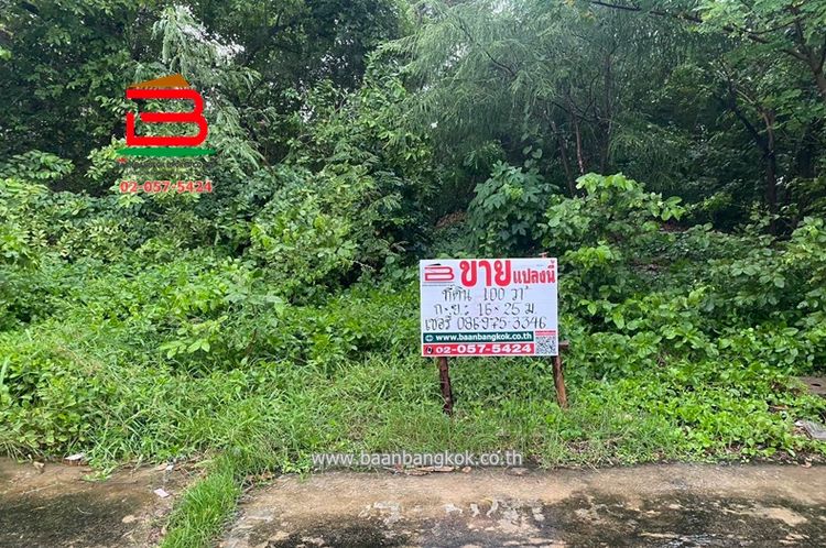  ที่ดินเปล่า เอกบูรพา 8 แยก 1 (เมืองเอก) เนื้อที่ 300 ตรว. ตำบลหลักหก, ภาพที่ 4
