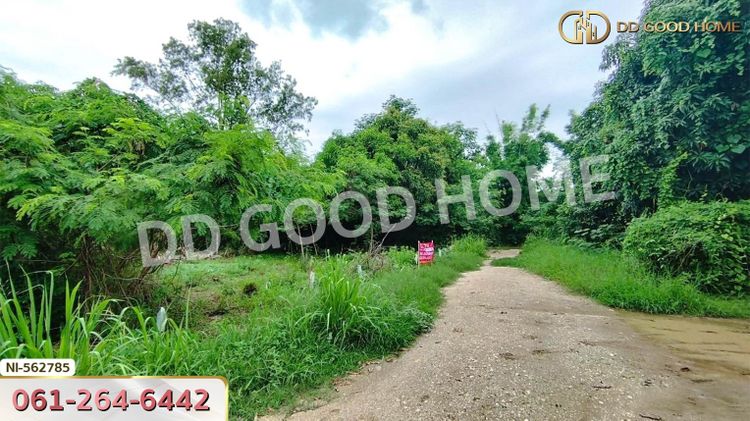 ที่ดิน แก่งคอย 71.35 ตร.ว. สระบุรี ใกล้วัดบ้านโป่ง, ภาพที่ 4