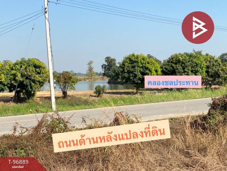 ขายที่ดินถมแล้ว เนื้อที่ 2 งาน 60.2 ตารางวา เมืองพิษณุโลก พิษณุโลก, ภาพที่ 4