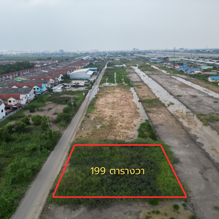 📣 ให้เช่าที่ดิน 199 ตร.ว. คลอง 2 ซอย บงกช 50 หลังฟิวเจอร์พาร์ครังสิต, ภาพที่ 4