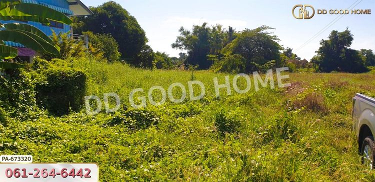 ที่ดินท่าช้าง 5 ไร่ 31.3 ตร.ว. สิงห์บุรี ใกล้โรงเรียนท่าช้างวิทยาคาร, ภาพที่ 4