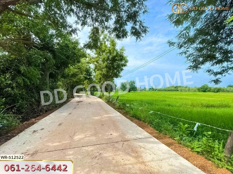 ที่ดินกบินทร์บุรี 25 ไร่ 212 ตร.ว. ปราจีนบุรี ใกล้วัดกลางเมืองเก่า, ภาพที่ 4
