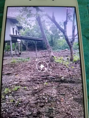ขายที่ดิน 200 ตร.ว. ใกล้สถานีเศรษฐบุตรบำเพ็ญ รถไฟฟ้าสีชมพู 