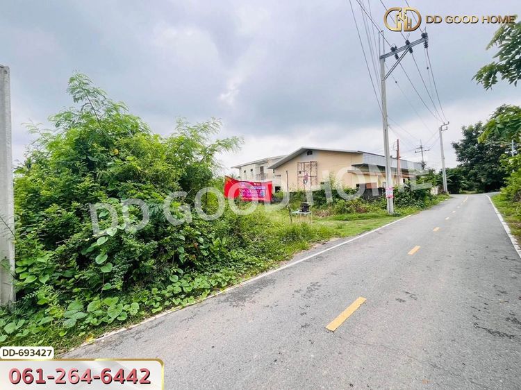 ที่ดินบางใหญ่ 388 ตร.ว. นนทบุรี ใกล้วัดหลังบาง, ภาพที่ 4