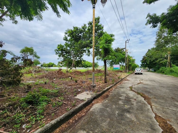 ขายที่ดิน 309 ตร.ว. หมู่บ้าน กรีนเลค บางนาตราด กม.13 บางพลี สมุทรปราการ, ภาพที่ 4
