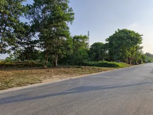 ขาย ที่ดิน ตำบลโคกกลอย อำเภอตะกั่วทุ่ง จังหวัดพังงา