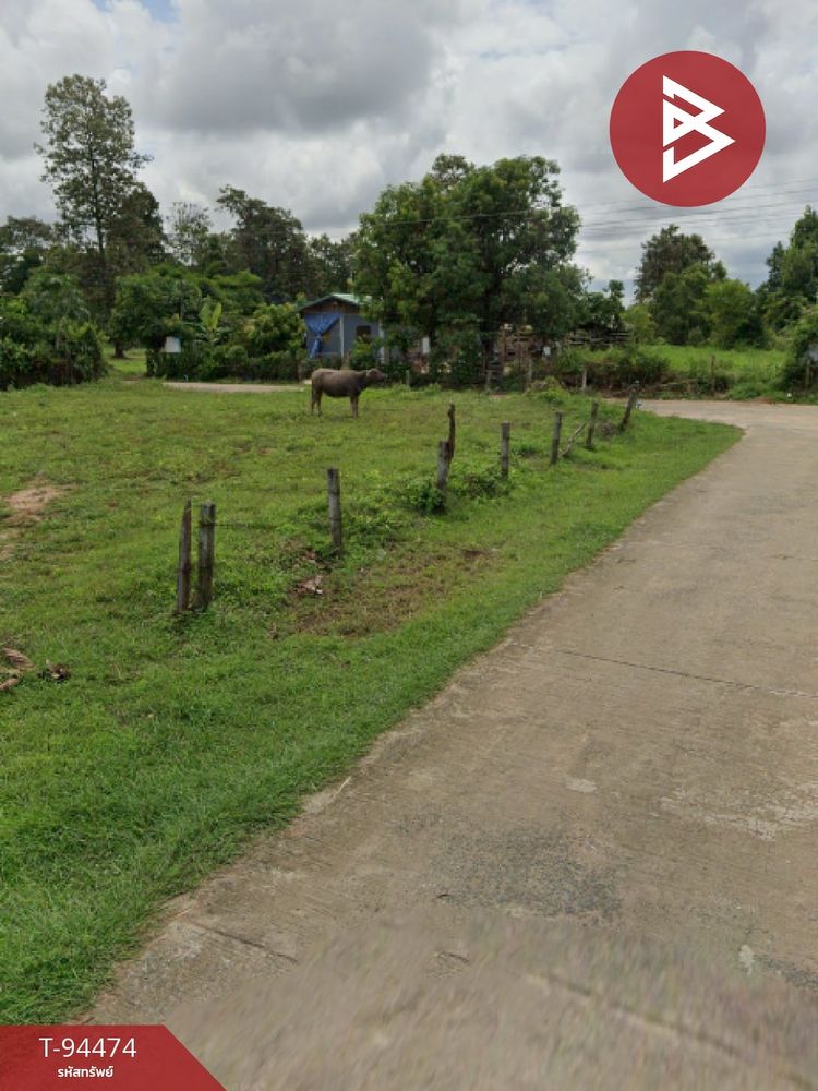 ขายที่ดินเปล่า เนื้อที่ 2 งาน 79 ตร.วา กระสัง บุรีรัมย์, ภาพที่ 4