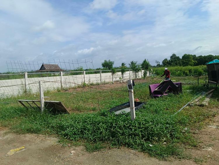 ขายที่ดิน236 วาหนองจอกแถมบ้านสร้างใหม่, ภาพที่ 4
