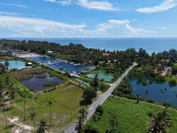 ขาย ที่ดิน ใกล้ทะเลท่าศาลานครศรีธรรมราชที่ดินใกล้ทะเล 362 ตร.วา, ภาพที่ 4