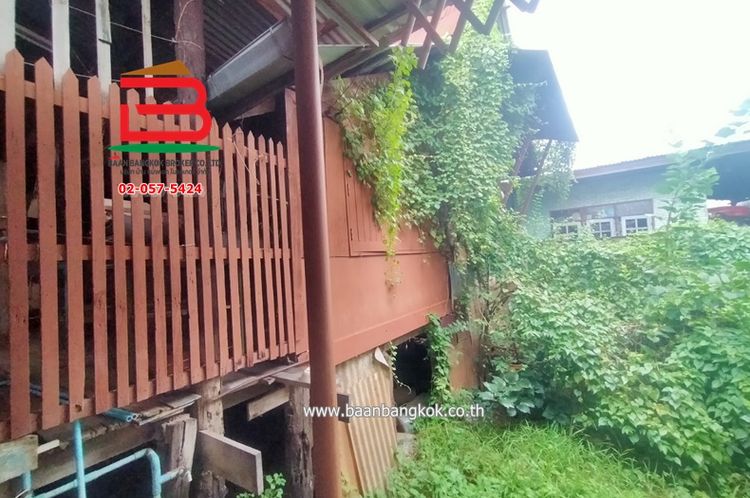 ที่ดิน+บ้าน บ้านบนเกาะเกร็ด เนื้อที่ 32 ตรว. ถนนรอบเกาะเกร็ด อ.ปากเกร็ด, ภาพที่ 4