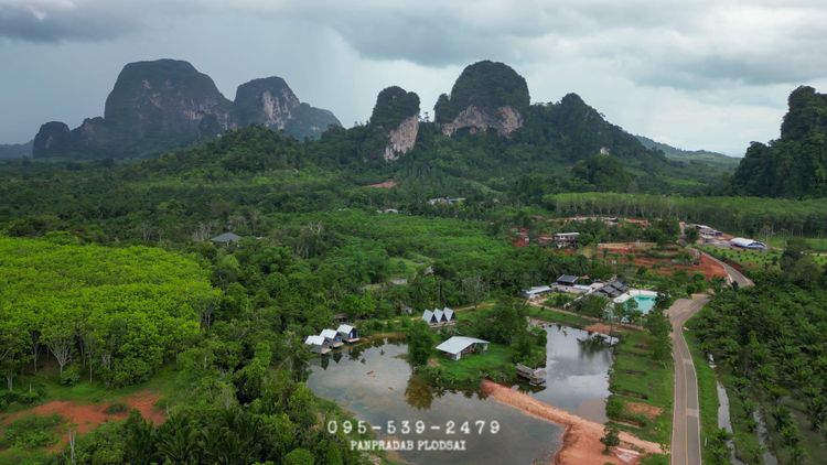 ที่พร้อมสิ่งปลูกสร้าง เนื้อที่ 10 ไร่ , ภาพที่ 4