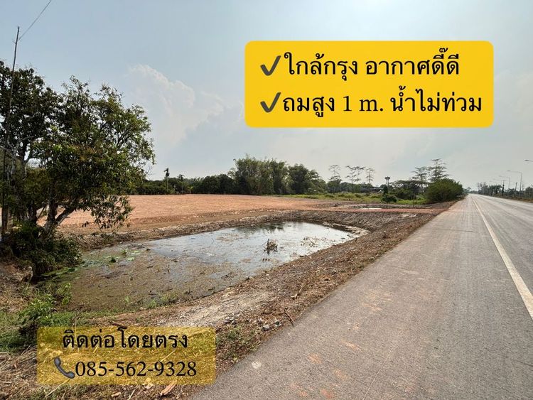ขายที่ดินถมแล้ว โฉนดครุฑแดง 2-1-88 ตร.วา น้ำไม่ท่วมบรรยากาศดี อ.เมือง, ภาพที่ 4