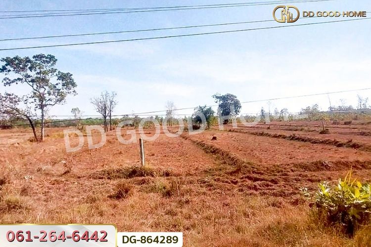 LU-864289 ที่ดินพรรณานิคม 14 ไร่ 196 ตร.ว. สกลนคร ใกล้วัดป่าแสนสุข, ภาพที่ 4