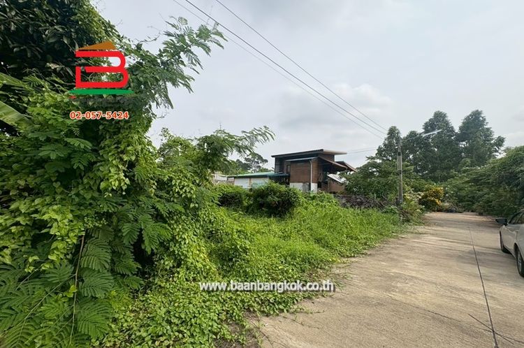 ที่ดินเปล่า ถมแล้ว สุรศักดิ์-ศรีราชา เนื้อที่ 84 ตรว. ถนนสุขุมวิท 77, ภาพที่ 4