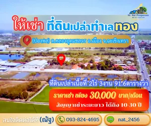 ให้เช่าที่ดินฉะเชิงเทรา ราคาถูก สัญญาเช่าระยะยาว10-30ปี ผังสีม่วง