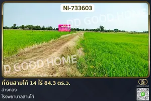 NI-733603 ที่ดินสามโก้ 14 ไร่ 84.3 ตร.ว. อ่างทอง โรงพยาบาลสามโก้