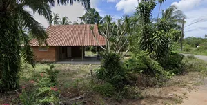 ให้เช่าบ้านสวน 2 ห้องนอน ใน วิสัยเหนือ, ชุมพร เนื้อที่บ้านพร้อมสวน 4 ไร่ครึ่ง