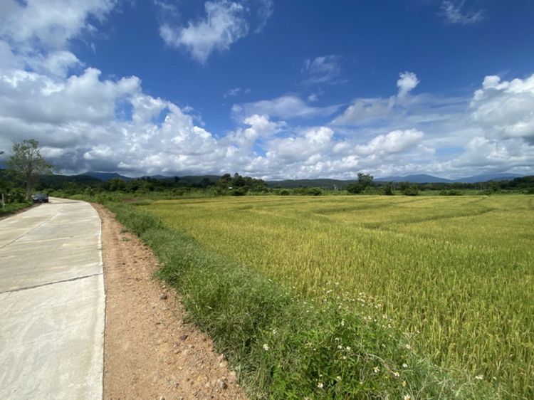 ขาย ที่ดิน โอกาสทอง! ขายที่ดินแปลงสวย วิวภูเขา มีน้ำล้อมรอบ เชียงใหม่ 5, ภาพที่ 4