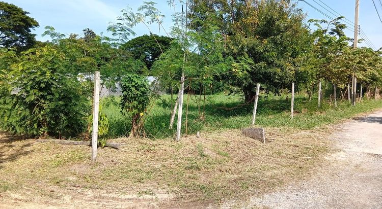 ขาย ที่ดิน 1 ไร่ 1 งาน 40 ตร.วา ใกล้แหล่งชุมชน เสาธงหิน บางใหญ่ นนทบุรี, ภาพที่ 4