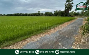 ที่ดิน 9-3-99.5 ไร่ ดอนโพธิ์ - สุพรรณบุรี มีผู้เช่า ทำเลดี