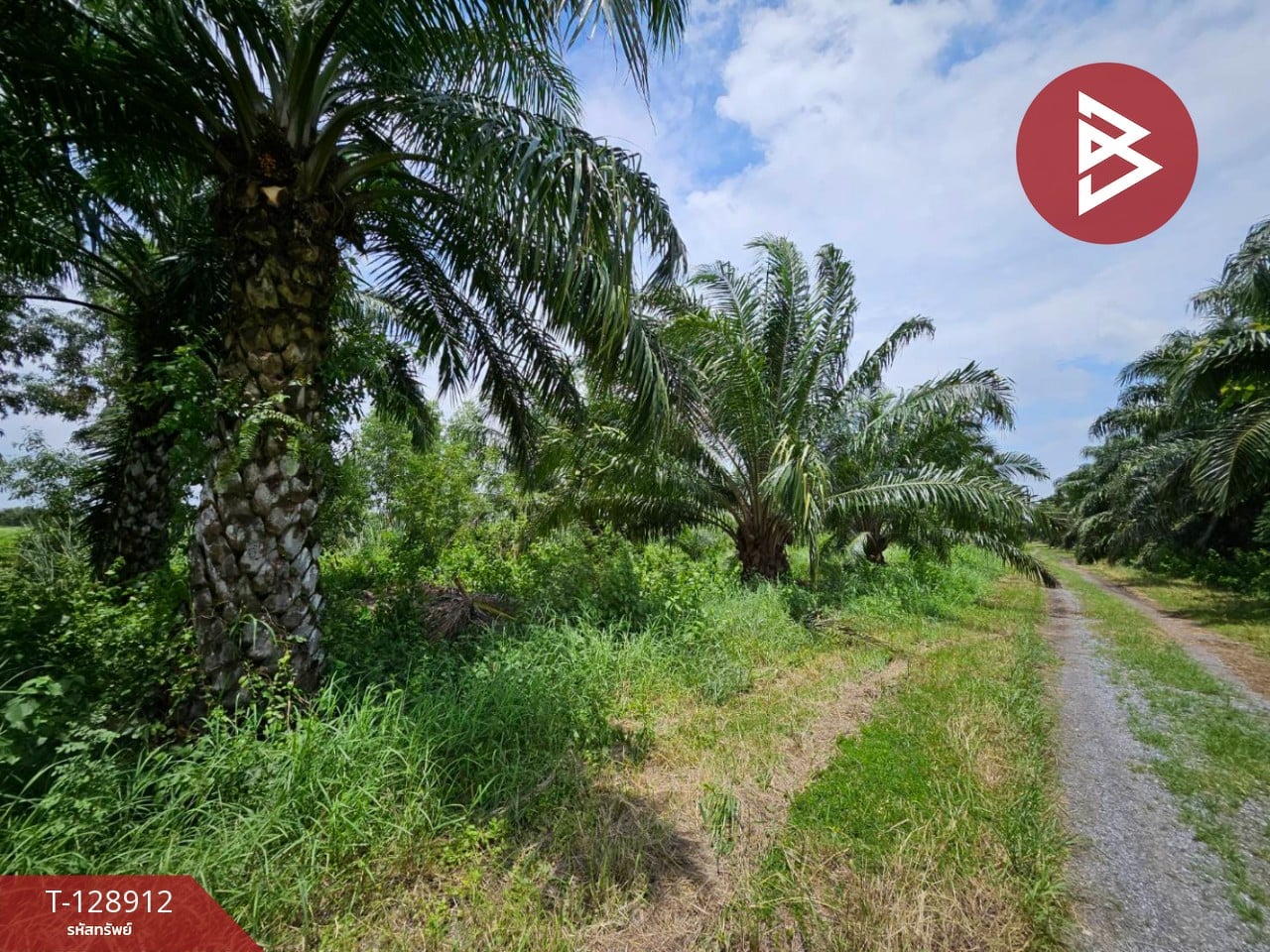 ขายที่ดิน เนื้อที่ 52.7 ตร.วา บางน้ำเปรี้ยว ฉะเชิงเทรา