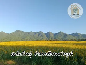 ที่ดินโฉนดแปลงสวยอำเภอเมืองเพชรบูรณ์