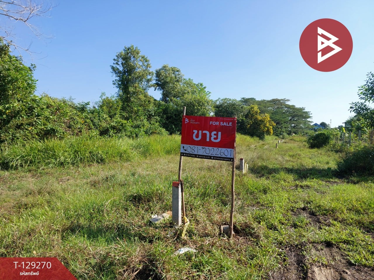 ขายที่ดิน เนื้อที่ 1 งาน 88.6 ตร.วา คลัง นครศรีธรรมราช