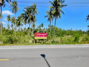 ขายด่วน! ที่ดินทำเลทอง ติดถนนใหญ่ ทับสะแก-หาดวนกร 12 ไร่เศษ เหมาะพัฒนาโครงการและเก็งกำไร