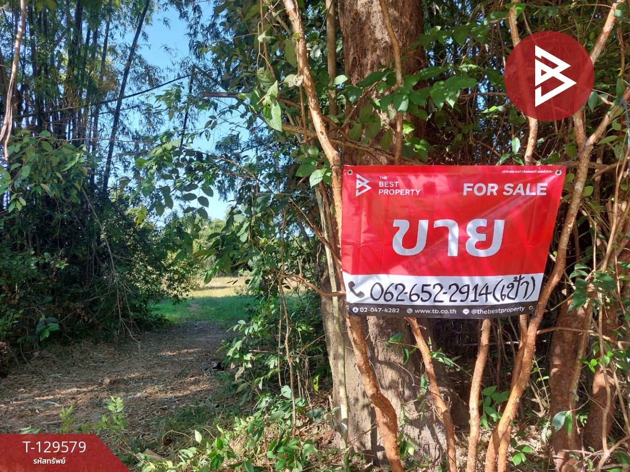 ขายที่ดิน เนื้อที่ 7 ไร่ 2 งาน 20 ตร.วา นาข่า อุดรธานี