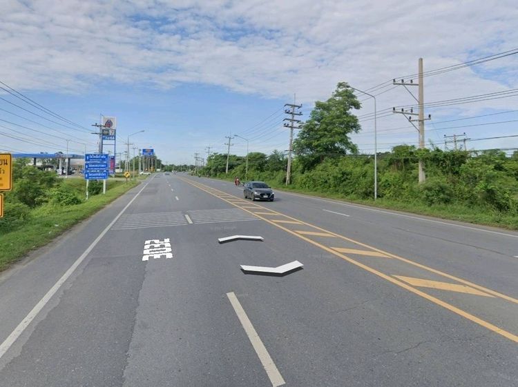 ที่ดินสิงห์บุรี ติดถนน 4 เลน เยื้องปั๊ม ปตท, ภาพที่ 4