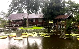 ขายที่ดิน22ไร่ พร้อมบ้านสวน ไร่ละ 5แสนบาท อ.พระพุทธบาท สระบุรี-ลพบุรี 