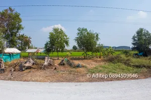 ขาย ที่ดินเปล่า 120 ตร.วา อำเภอไทรน้อย บนถนนเส้น 346 เหมาะสร้างบ้าน