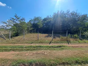 ขาย ที่ดิน ตำบลปงยางคก อำเภอห้างฉัตร จังหวัดลำปาง