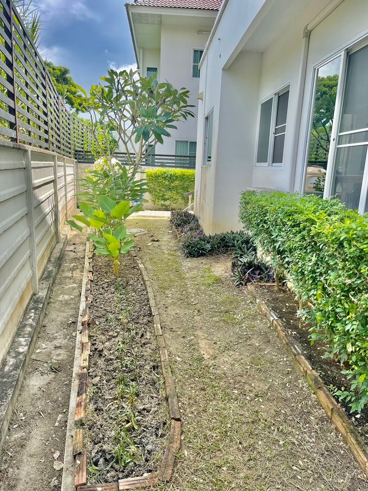 ให้เช่าบ้านเดี่ยว🏠บ้านพิมุกต์ โครงการ4 @เชียงใหม่ บ้านแปลงมุม ส่วนตัว, ภาพที่ 4