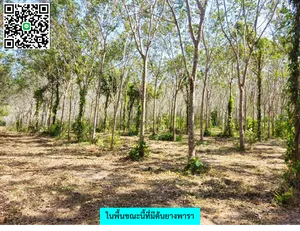 ขายที่ดินภูเก็ตเหมาะสำหรับการลงทุน! ใกล้สนามบินภูเก็ตเพียง 15 นาที