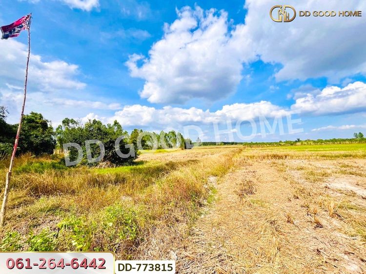 ที่ดินศรีมหาโพธิ 53 ไร่ 44.80 ตร.ว ปราจีนบุรี ใกล้นิคมโรจนะ, ภาพที่ 4