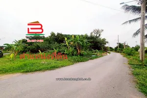 ที่ดินเปล่า ติดซอยสมหวัง เนื้อที่ 357 ตร.ว แขวงเจียระดับ เขตหนองจอก(เจียระดับ) กรุงเทพมหานคร