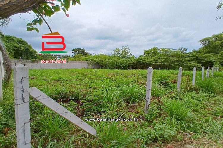 ที่ดินเปล่า ซอยหัวหิน 25 เนื้อที่ 146 ตร.ว (ใกล้ท่าอากาศยานหัวหิน), ภาพที่ 4