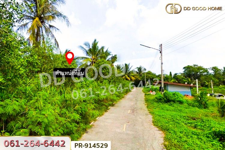 PR-914529 ที่ดินลาดใหญ่ 5 ไร่ 23 ตร.ว. สมุทรสงคราม ใกล้วัดลาดเป้ง, ภาพที่ 4