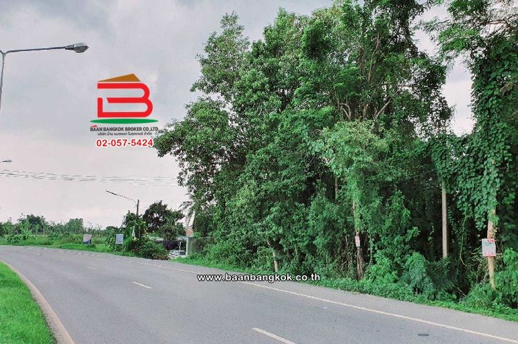 ที่ดินเปล่า ติดหมู่บ้านสวนปาลิกา เนื้อที่ 2-3-5 ไร่ (ซอยสุวรรณศร 6), ภาพที่ 4