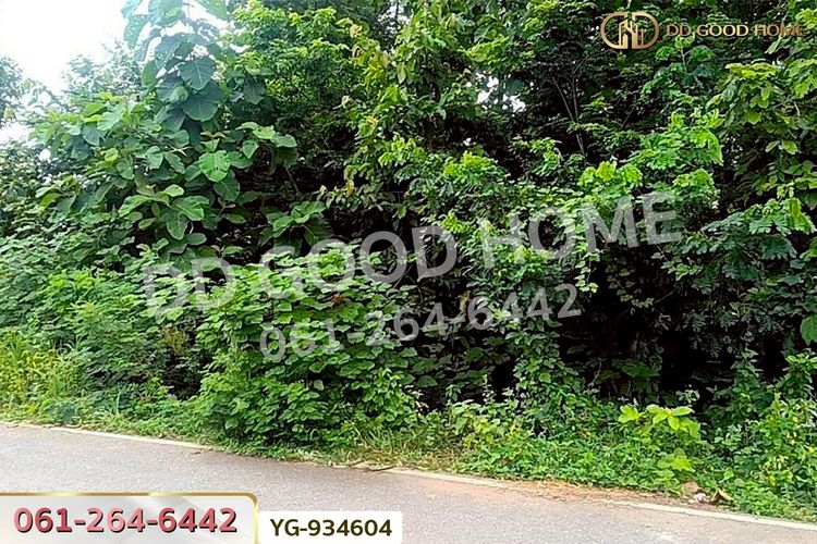 DD-934604 ที่ดินสามเงา 4 ไร่ 239.7 ตร.ว. ตาก ใกล้เขื่อนภูมิพล, ภาพที่ 4