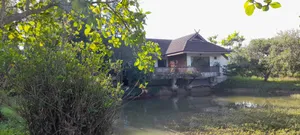ขายบ้านและสวนจังหวัดเชียงใหม่