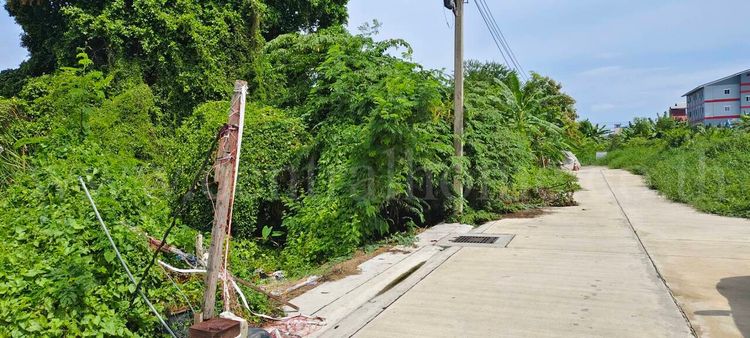 ให้เช่า ที่ดิน ตำบลบางปลา อำเภอบางพลี จังหวัดสมุทรปราการ, ภาพที่ 4