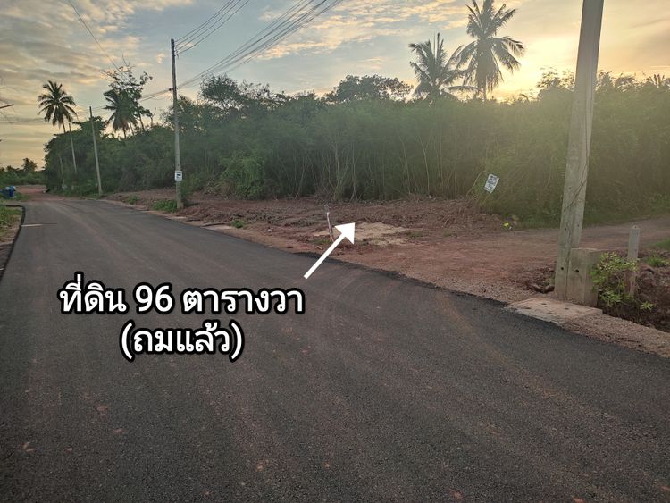 ขายที่ดินสมุทรสงคราม ขนาด 96 ตารางวา, ภาพที่ 4