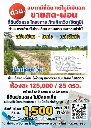 ขายที่ดินรัตภูมิ