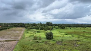 ขาย ที่ดิน บ้านดงละคร เมืองนครนายก