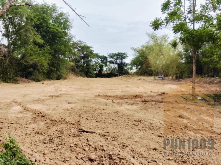 ขายที่ดิน 2 ไร่เศษ สายเอเชีย ใกล้อุทยานหลวงปู่ทวด บางปะหัน, ภาพที่ 4